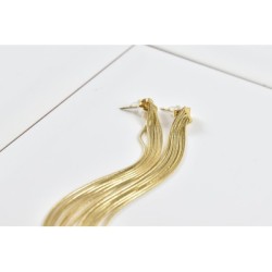 Aéla earrings