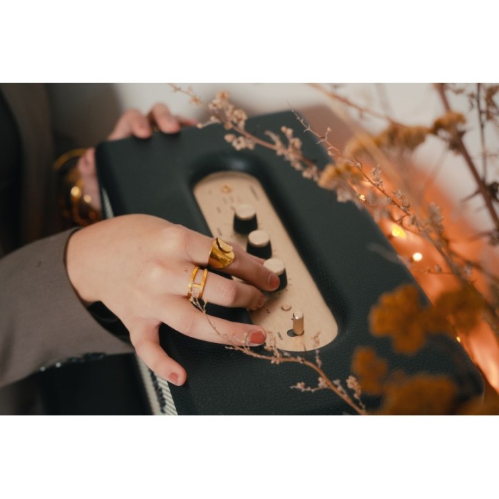 BAGUE DEUX ANNEAUX ET TIGE ACIER INOXYDABLE GOLD PETIT PRIX