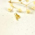 LETTRE P SIMPLE ACIER INOXYDABLE GOLD PETIT PRIX
