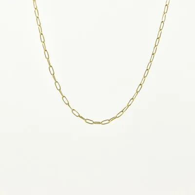 CHAINE SAUTOIR PETITE MAILLE CHEVAL ACIER INOXYDABLE GOLD PETIT PRIX