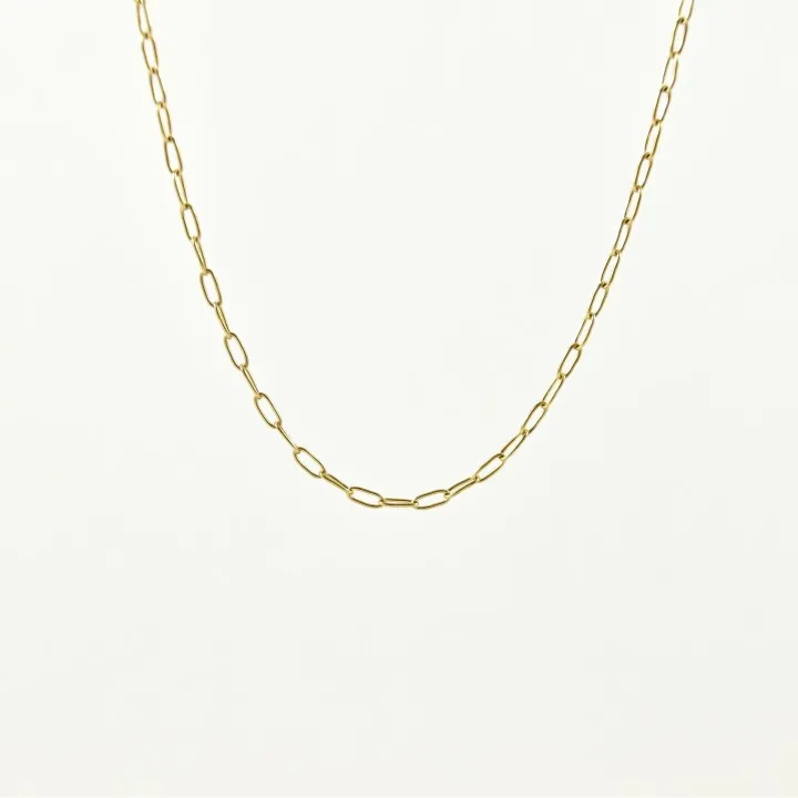 CHAINE SAUTOIR PETITE MAILLE CHEVAL ACIER INOXYDABLE GOLD PETIT PRIX