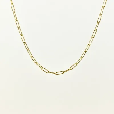 CHAINE CHEVAL MAILLE MOYENNE ACIER INOXYDABLE GOLD PETIT PRIX