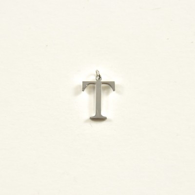 CHARM ACIER INOXYDABLE PETIT PRIX