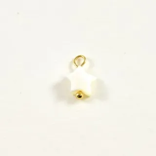 CHARM ACIER INOXYDABLE PETIT PRIX