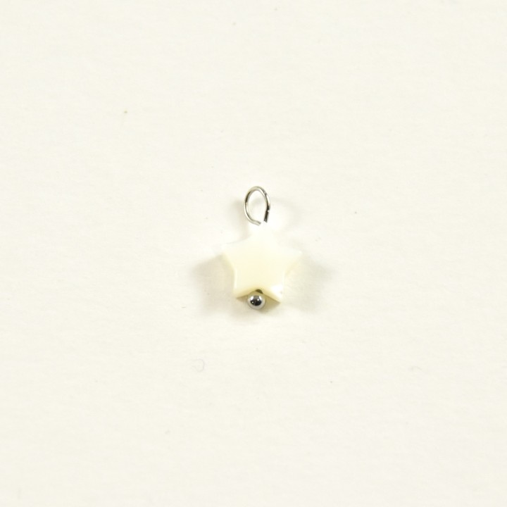 CHARM ACIER INOXYDABLE PETIT PRIX