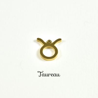 copy of Charm1