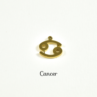 CHARM ACIER INOXYDABLE PETIT PRIX