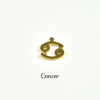 CHARM ACIER INOXYDABLE PETIT PRIX