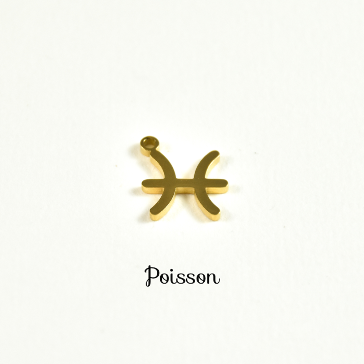 CHARM ACIER INOXYDABLE PETIT PRIX