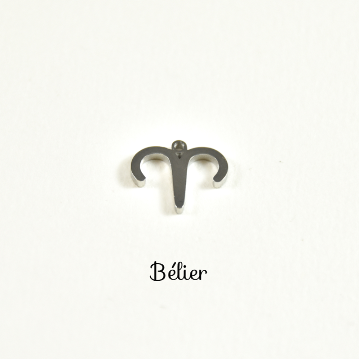 CHARM ACIER INOXYDABLE PETIT PRIX