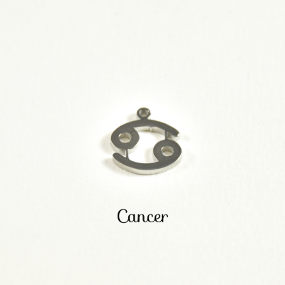 CHARM ACIER INOXYDABLE PETIT PRIX