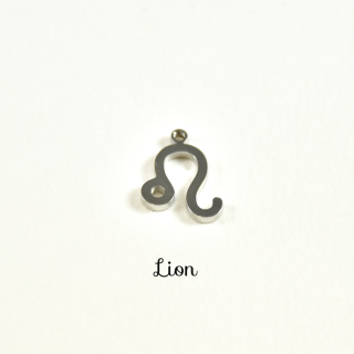 CHARM ACIER INOXYDABLE PETIT PRIX