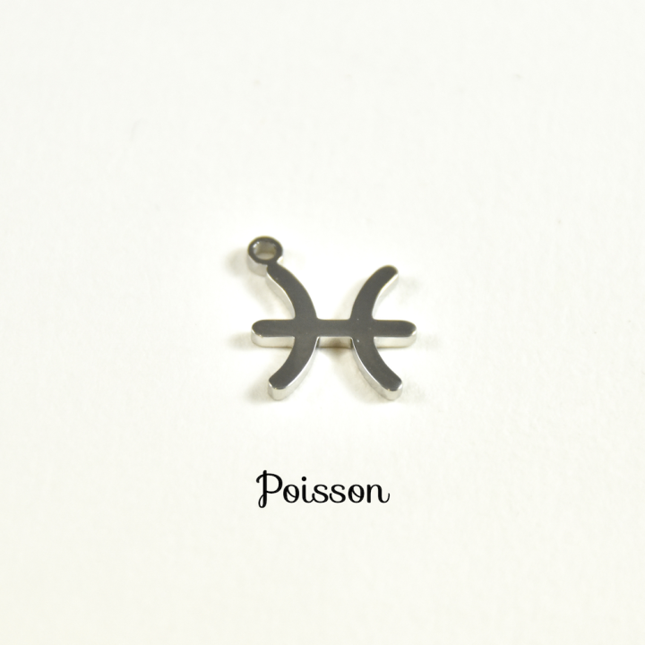CHARM ACIER INOXYDABLE PETIT PRIX