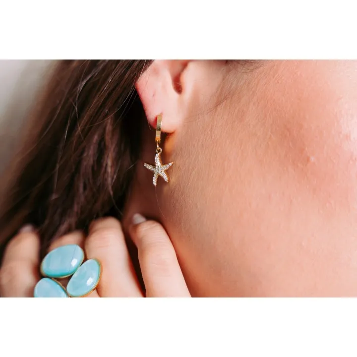 FAUX PIERCING ETOILE ACIER INOXYDABLE SILVER PETIT PRIX