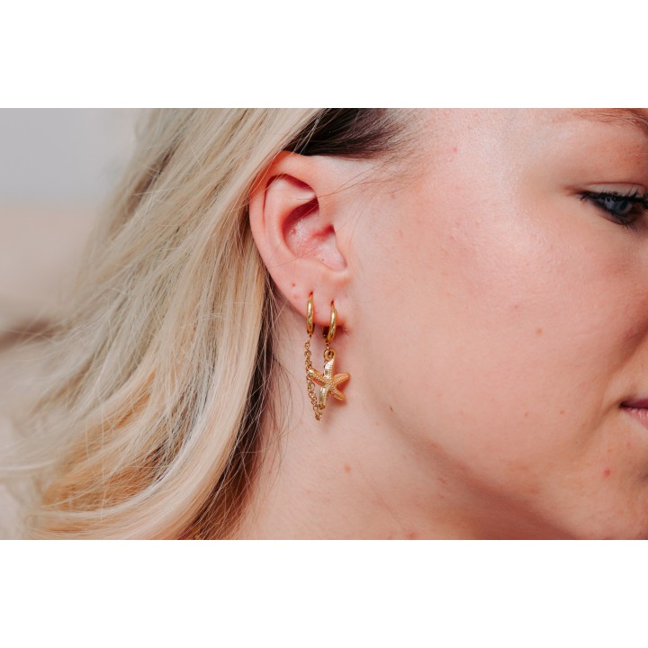 FAUX PIERCING ETOILE ACIER INOXYDABLE SILVER PETIT PRIX