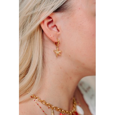 FAUX PIERCING ETOILE ACIER INOXYDABLE SILVER PETIT PRIX