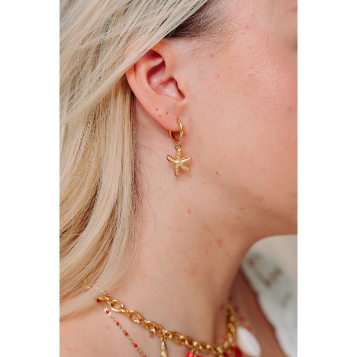 FAUX PIERCING ETOILE ACIER INOXYDABLE SILVER PETIT PRIX