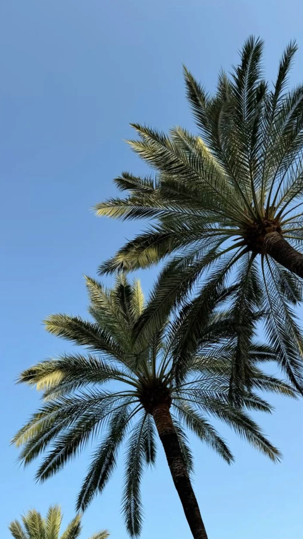 Les 5 destinations incontournables à faire en août en France ☀️