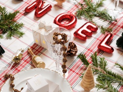 Toute l'équipe Brin de cuivre vous souhaite un Joyeux Noël !